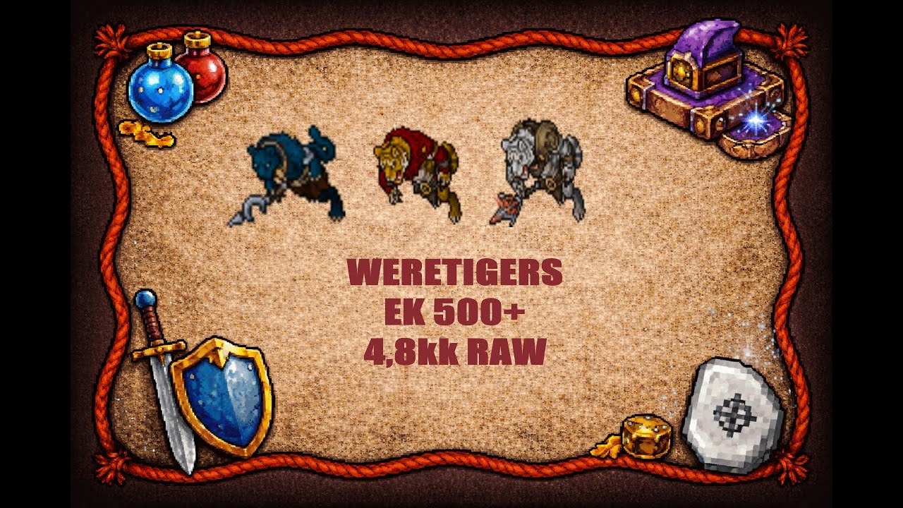 TIBIA Weretigers – 500+ EK SOLO