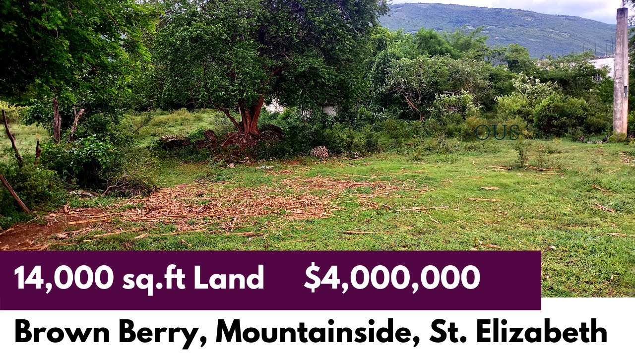 14,000 sqft Residential/farm Lot Brown Berry St Elizabeth
