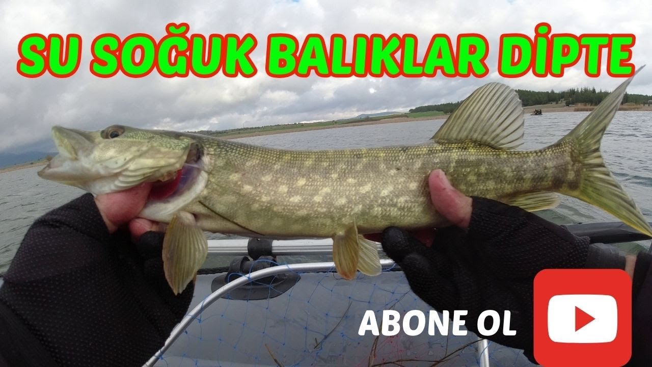 TURNA AVI!!! -SULAR SOĞUK BALIKLAR DİPTE-