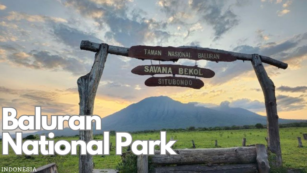 Exploring the Wild Beauty of Baluran National Park, Indonesia