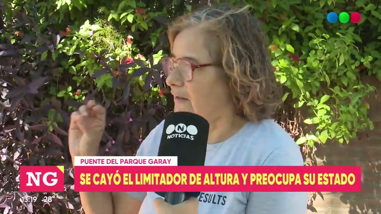 Puente del Parque Garay: otra vez se caypi el limitador de altura