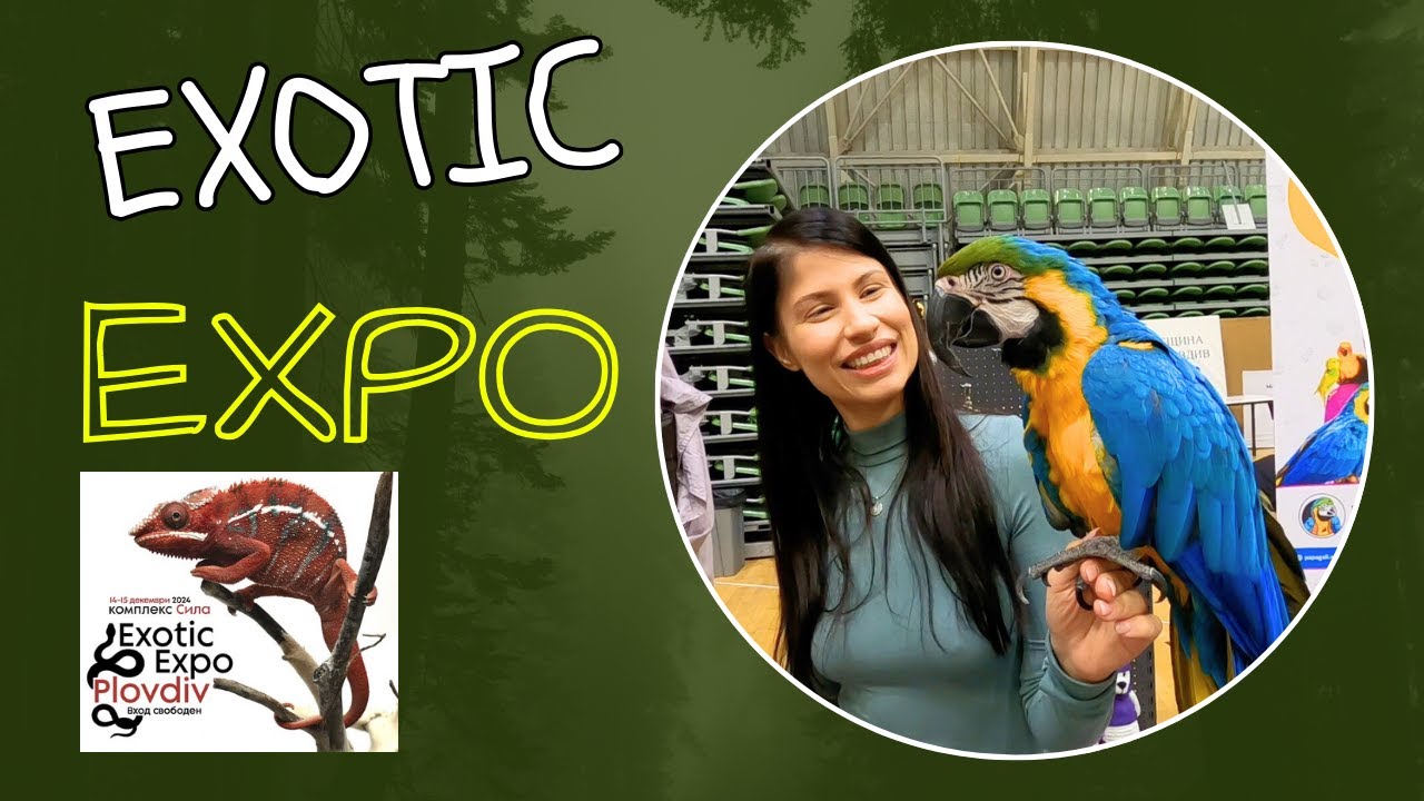 Питони, тарантули и най-отровния скорпион в света! | Exotic Expo Пловдив