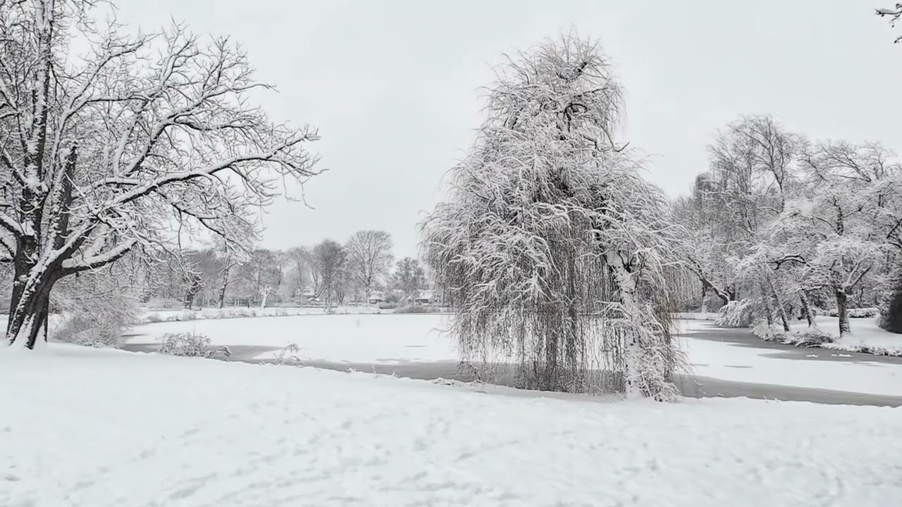 Sneeuw 2026 Meppel