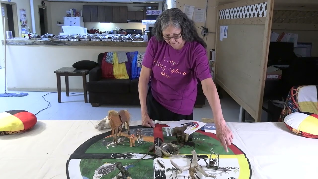 Lakota Medicine Wheel Curriculum