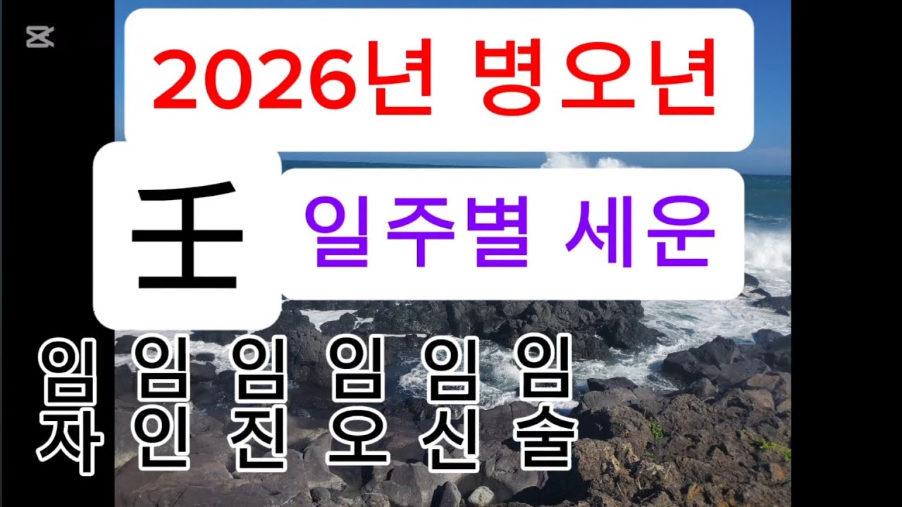 26년(병오년)일주별 세운_ 임수일주