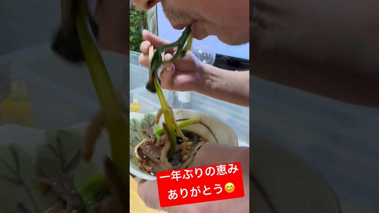 一年ぶりの恵みありがとう😊　#行者にんにく #北海道 #アイヌネギ
