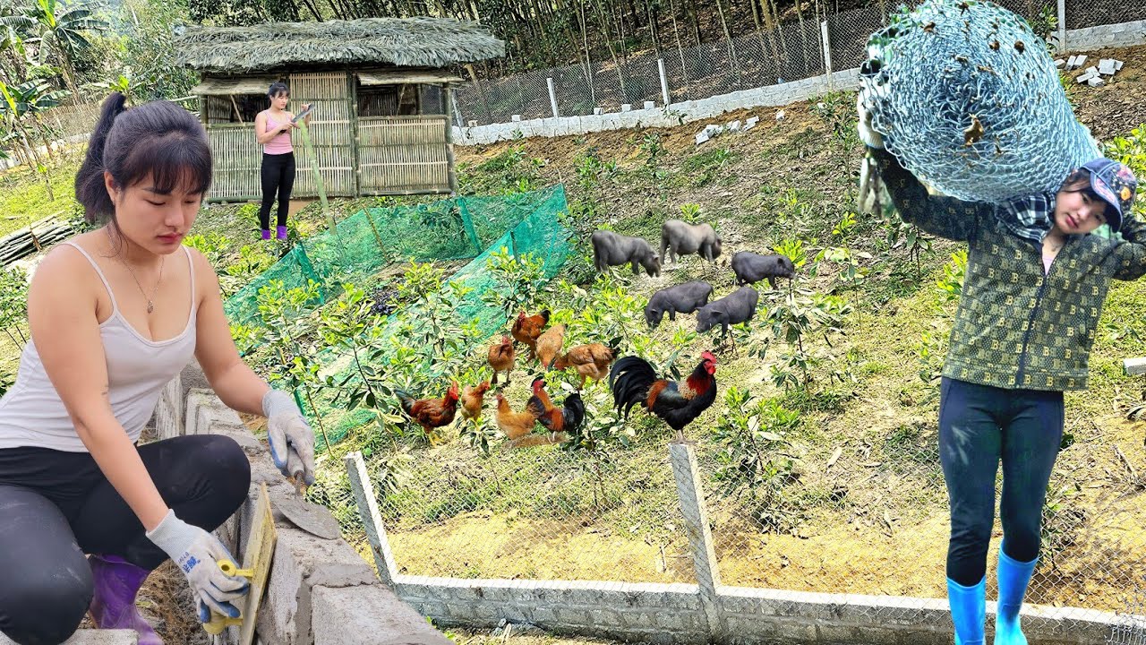 Full video of 365 days of a girl building her own farm alone is complete.#farm #farming #gril