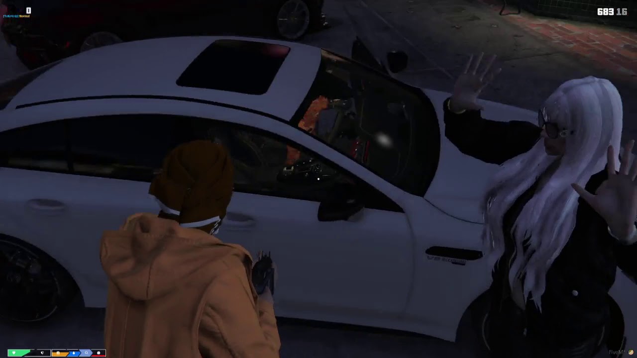 Tugay Gök'ten full komedi market soygunu (GTA5)