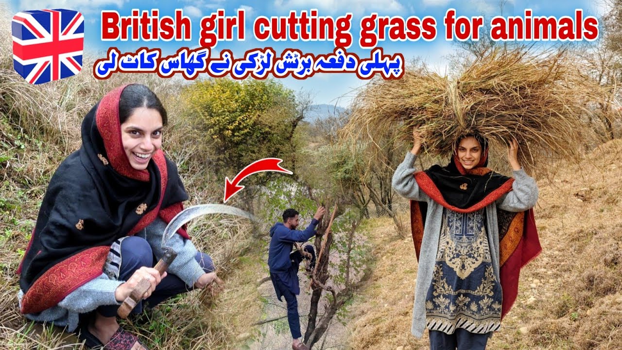 First time British Girl cutting Grass for animal | Pakistani hard life | Kv Family |