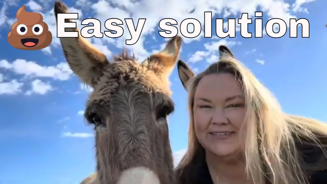 What is the easiest way to pick up poo from your livestock? Paddock Blade review @paddockblade