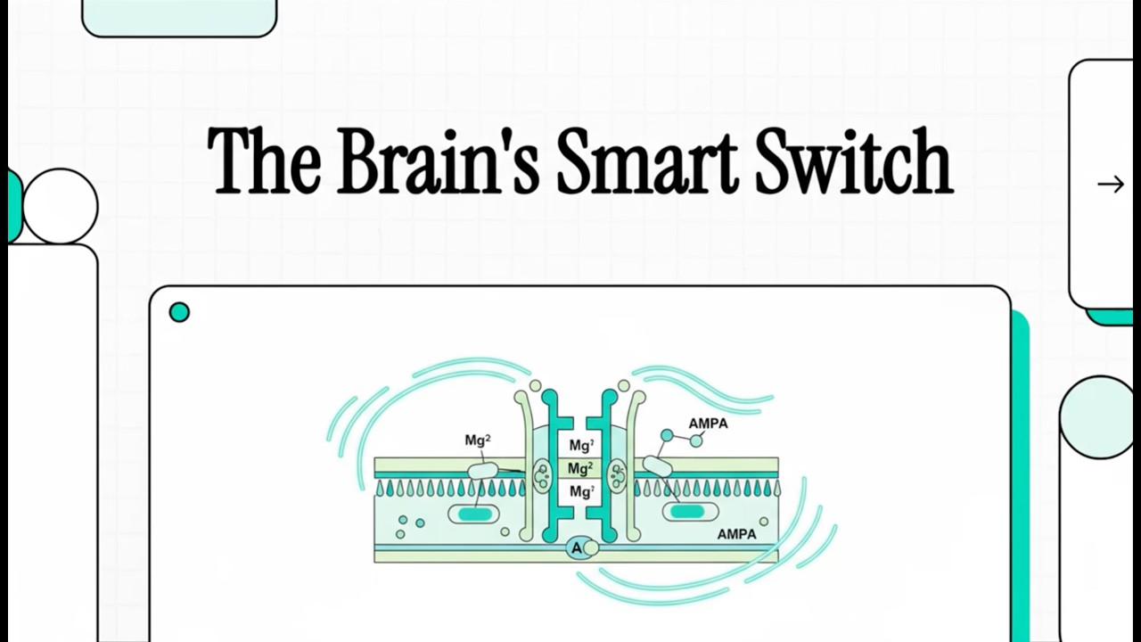 Neuropharmacology: NMDA Receptors & Synaptic Plasticity (Nestler, Hyman, Malenka, 2009, Ch 5)