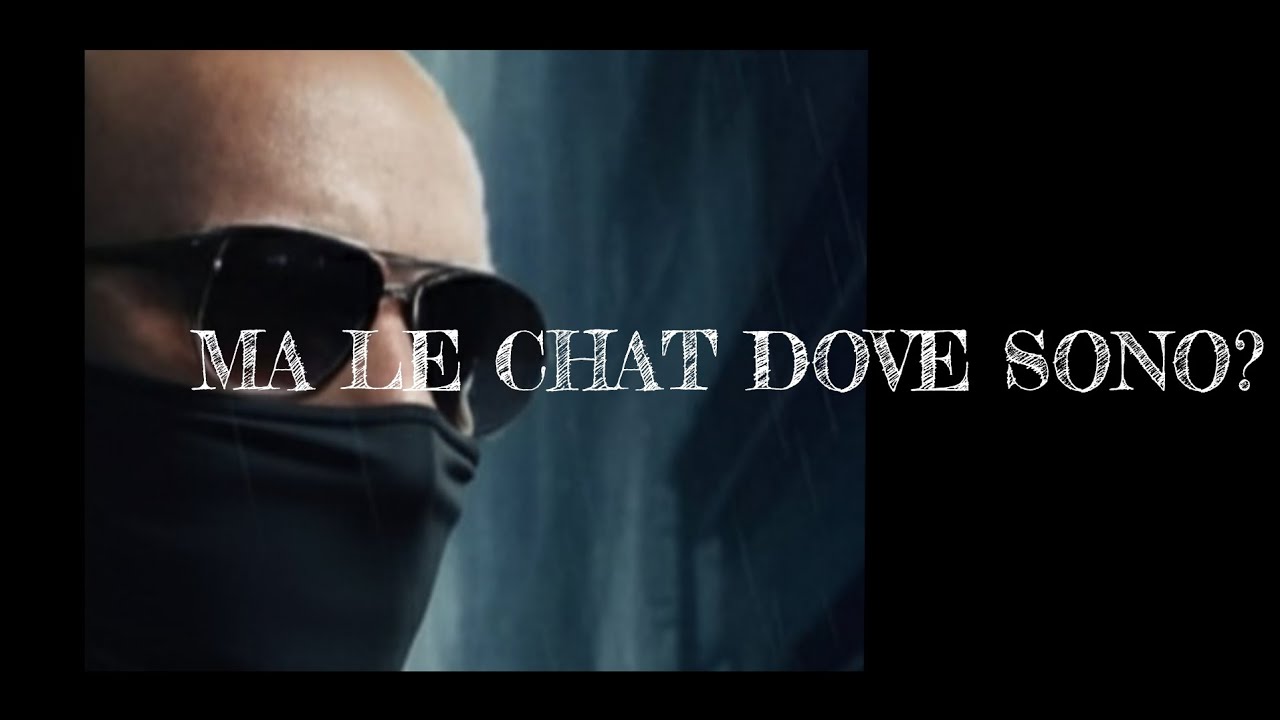 @peterpan2.0 ma le chat dove sono???