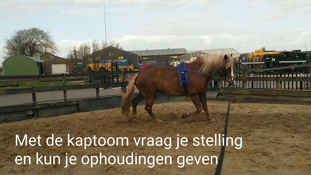 Longeren met Kaptoom en touwtjes