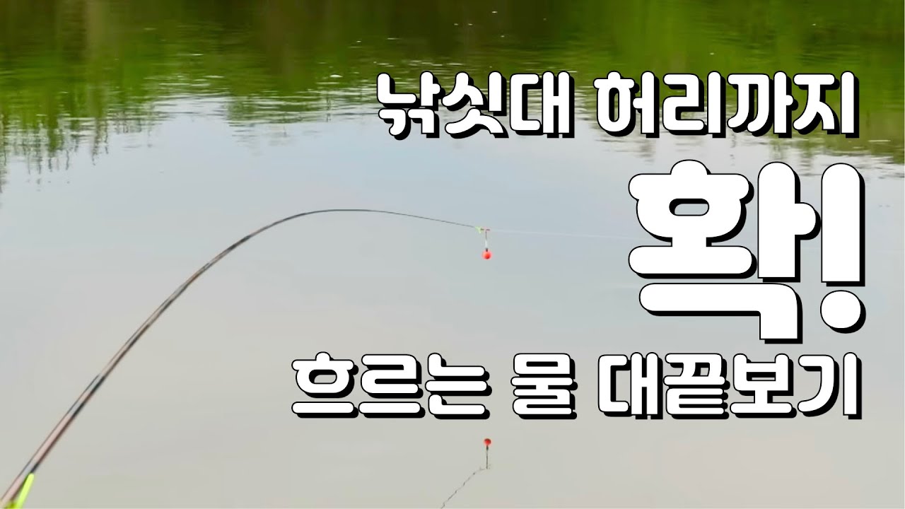 붕어낚시, 안성천 대 끝보기로 마릿수 붕어를 만나다!  Kkeutbogi crucian carp fishing at flowing river in South Korea