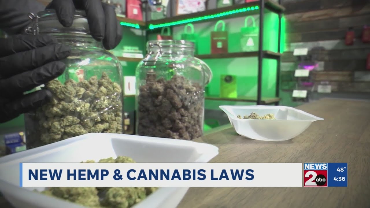 New Tennessee laws set to take effect Jan. 1, 2026