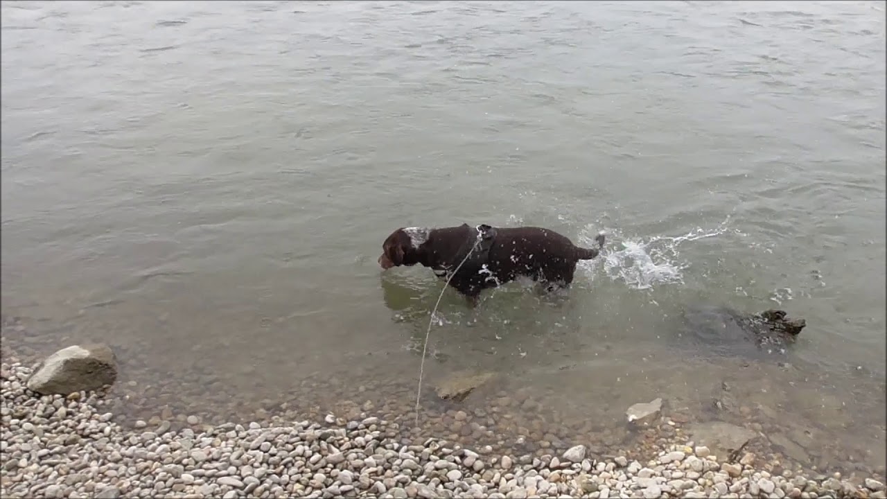 Ausflug nach Haslau an der Donau
