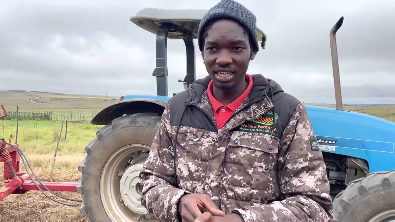 Land preparation for planting of vegetables (Swiss Chard) aka Spinach in Southern Africa, & Cabbage