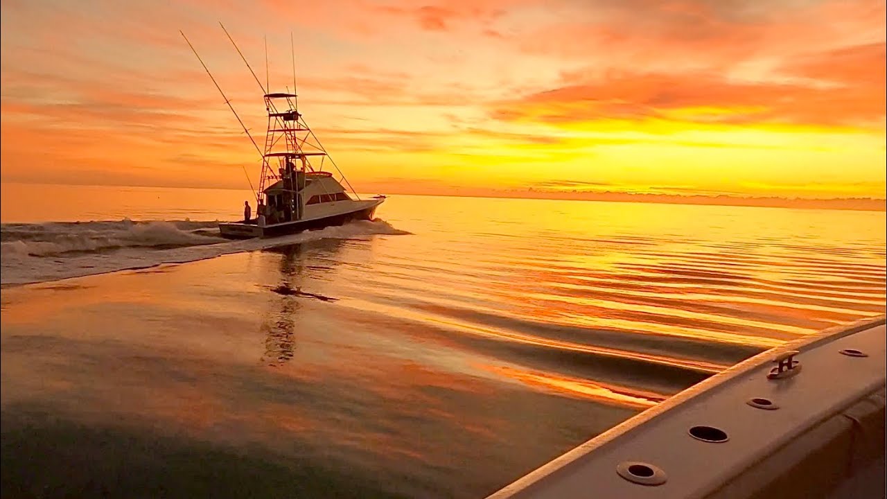 EPIC SUNRISE! *ELUSIVE* Pumpkin Swordfish - Catch Clean and Cook with StanzFam