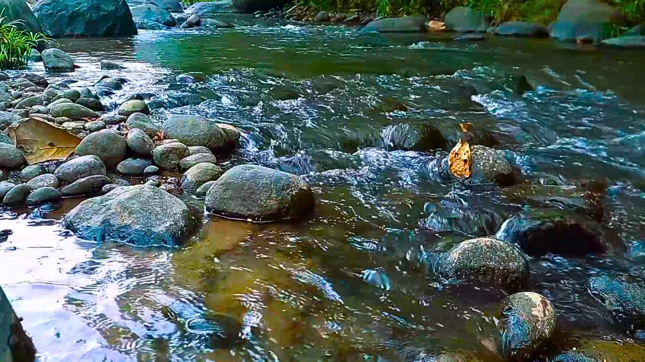 RELAXING SOUNDS FOR SLEEPING | BEAUTIFUL FLOWING FOREST STREAM FOR DEEP SLEEP AND RELAXATION #asmr8