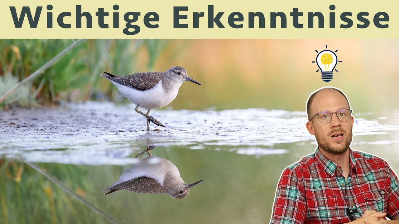 Diese 3 Dinge haben mich zu einem besseren Wildlife-Fotograf gemacht...
