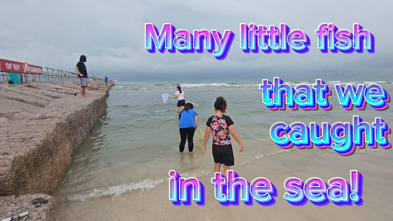 it's so fun to get lots of small fish in a shallow area of the beach!