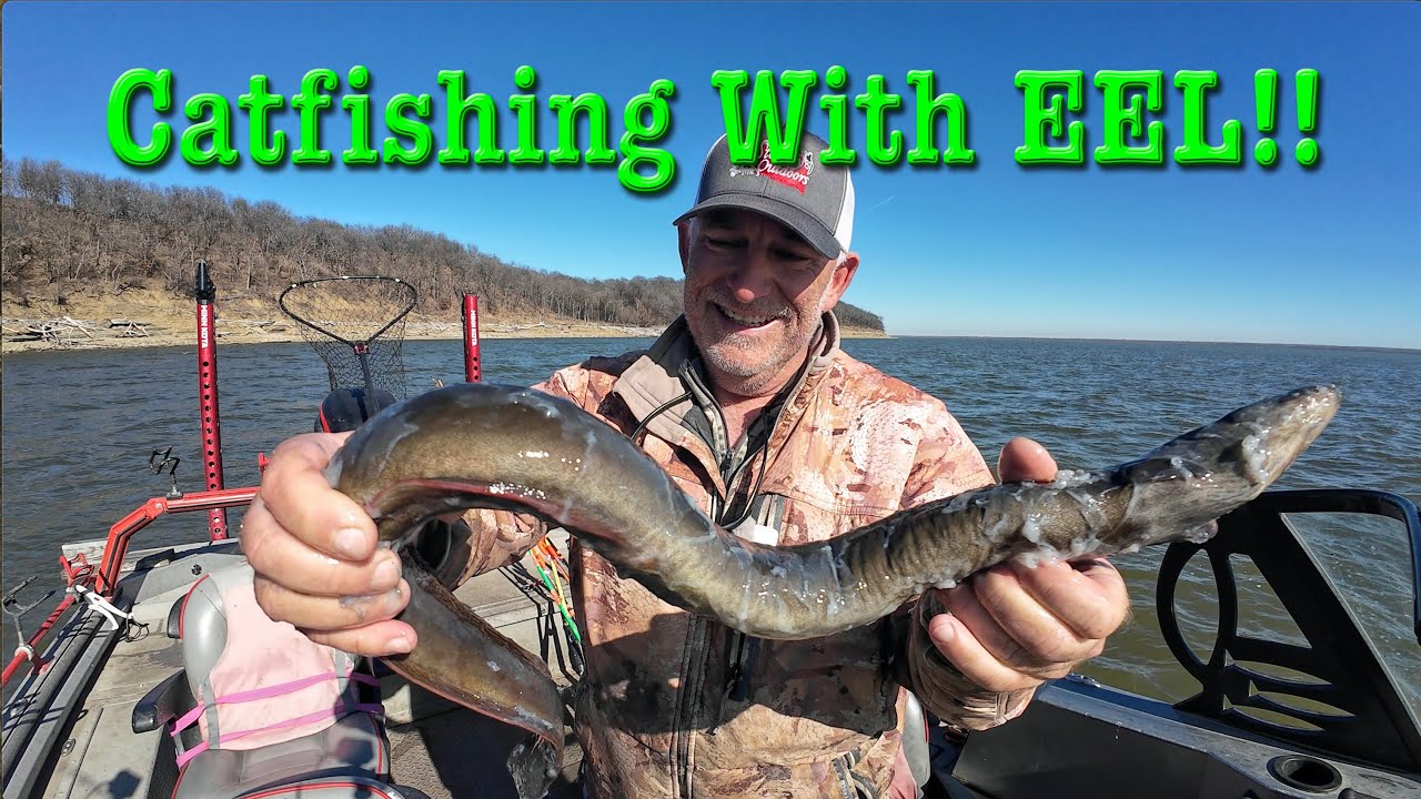 Catfishing With EEL. First time fishing with eel on lake Oologah.