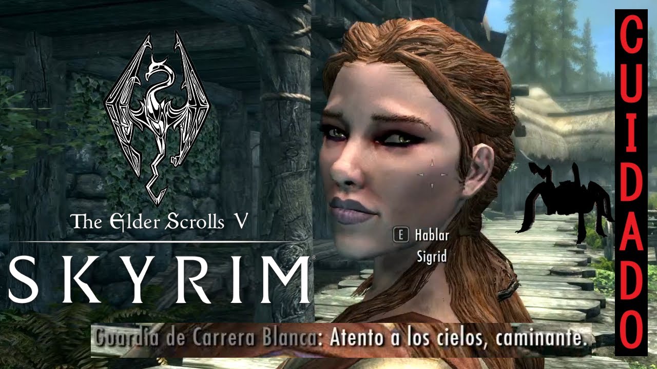 SKYRIM. Una mision de Mierd.. 🕷️🕷️🕸️🕸️
