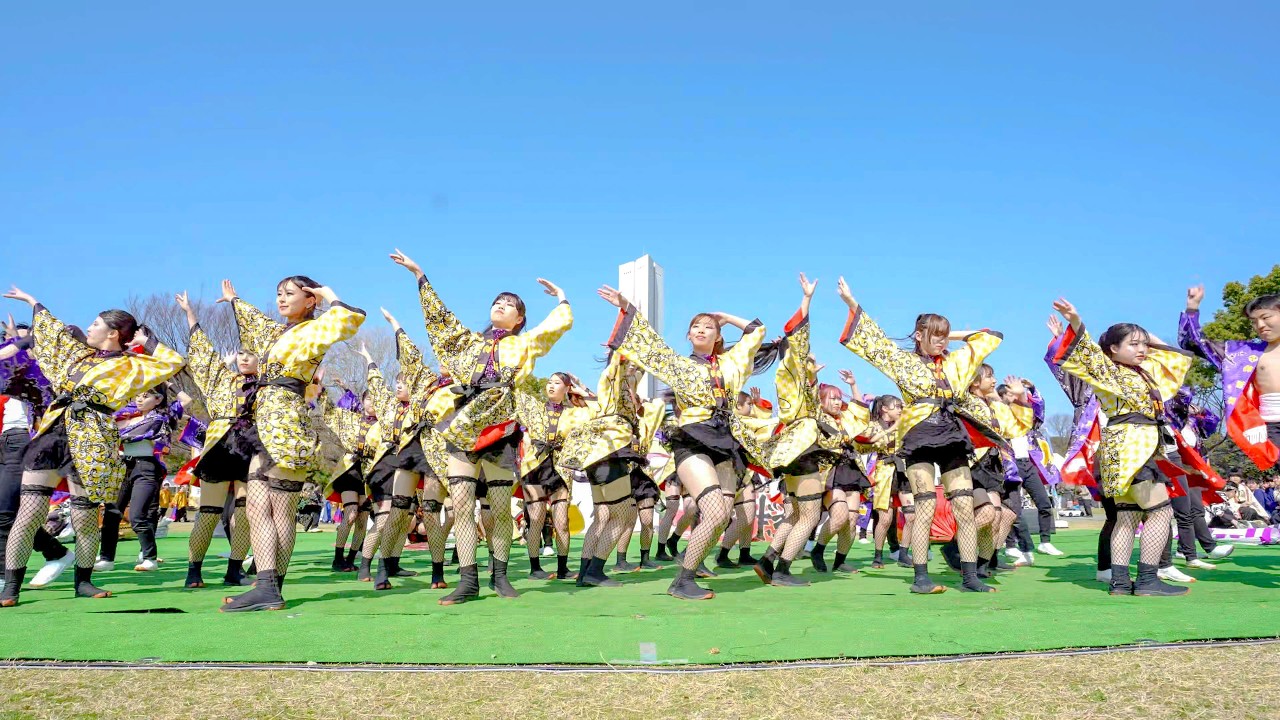 [4K] 絆百祭　堺よさこいかえる祭り 2026 大仙公園会場 (前方)