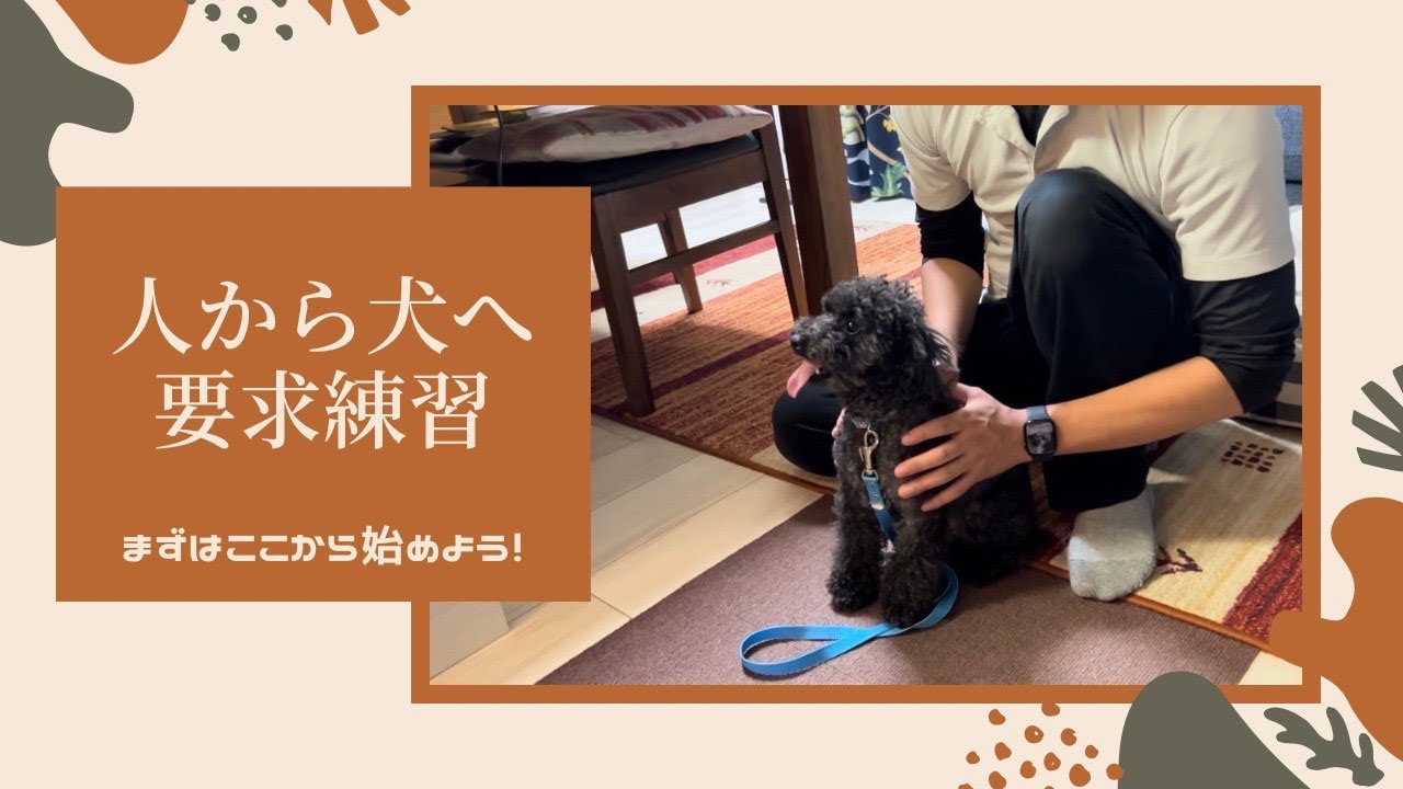 【主張】関係作りの第一歩~