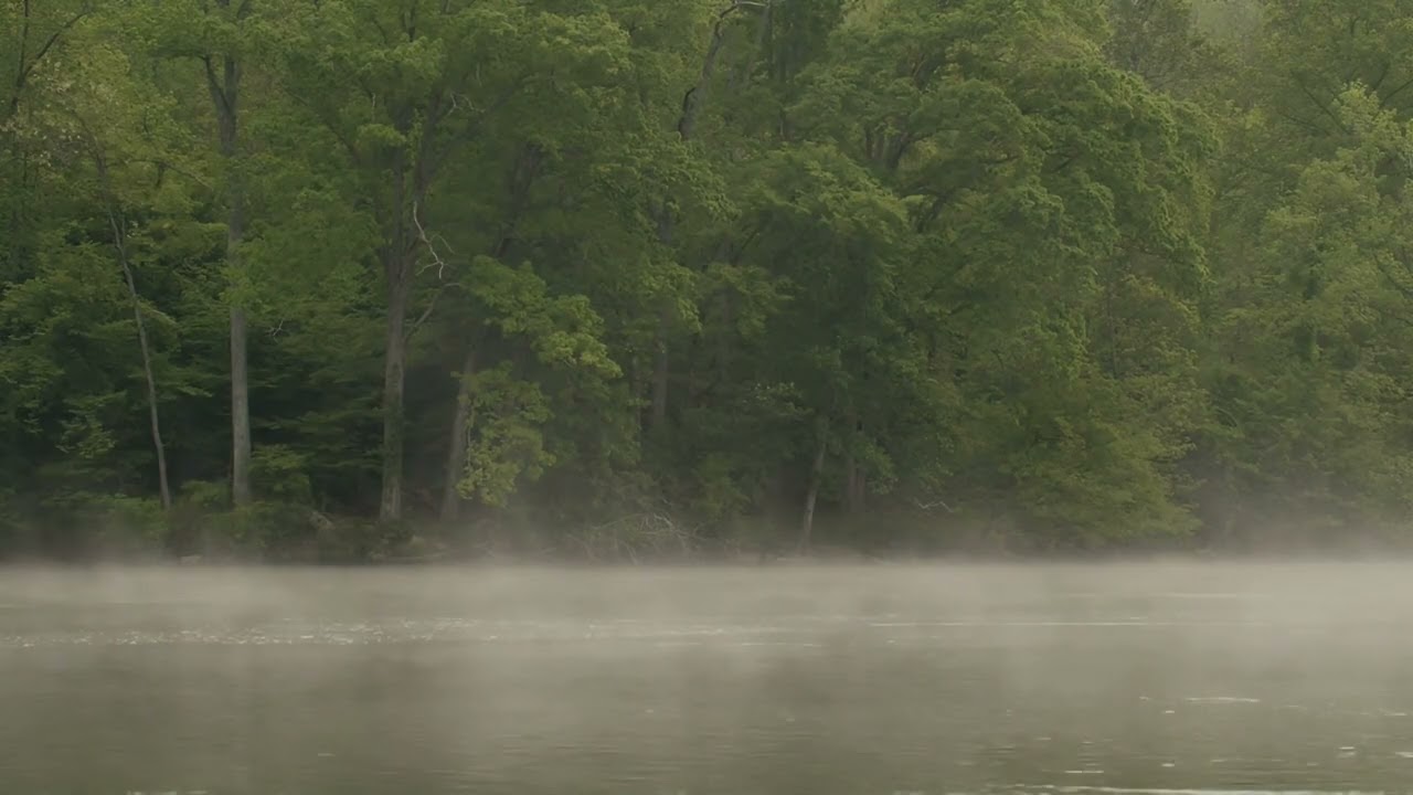 Stillum | 1 Hour of Quiet to Let Your Mind Rest