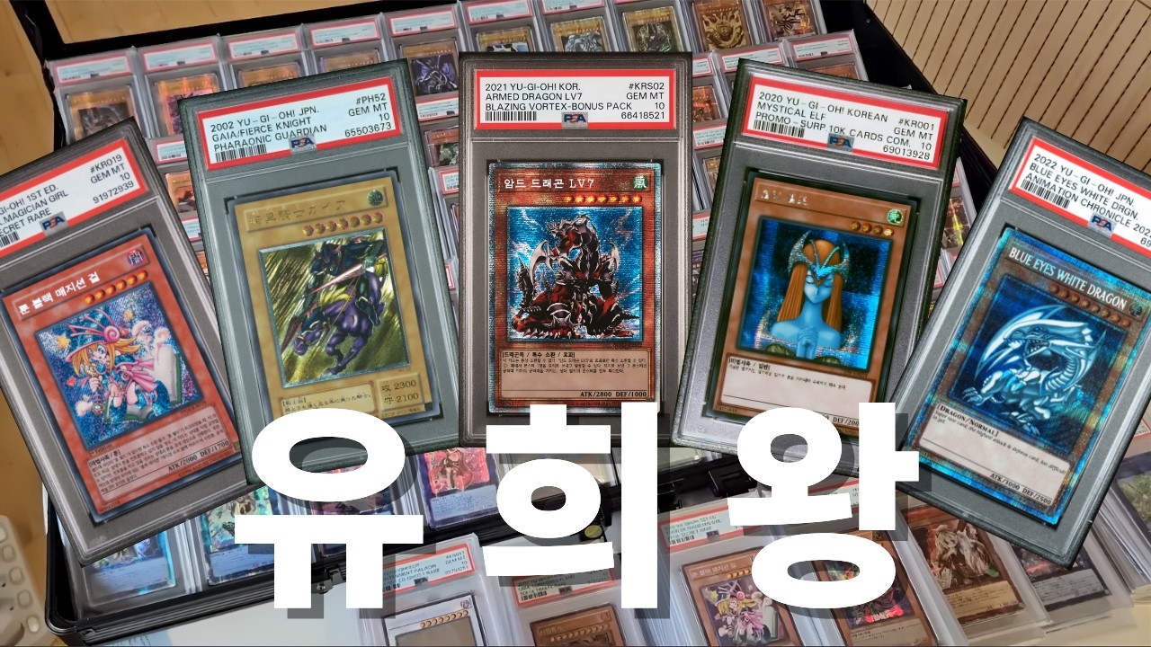 유희왕 카드 수집가 파란니트, 갖고 싶게 만드는 그의 콜렉션!
