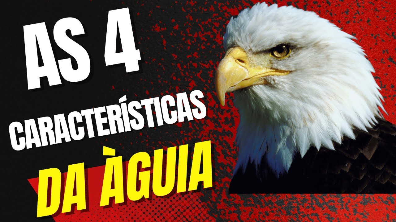 APRENDA COM AS 4 CARACTERISTICA DA ÀGUIA