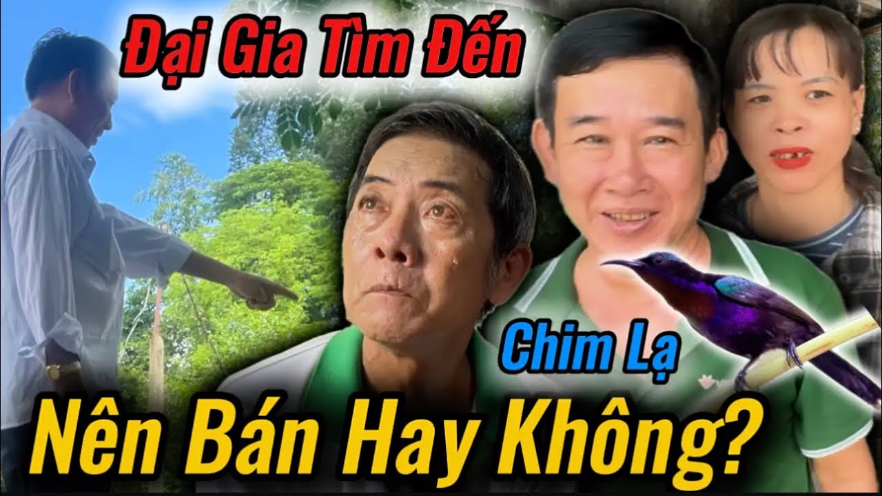Bất Ngờ , Đại Gia Nge Tin Chim Lạ Trả Ơn Đến Nhà Gia Chủ Gấp Gì Chuyện Này