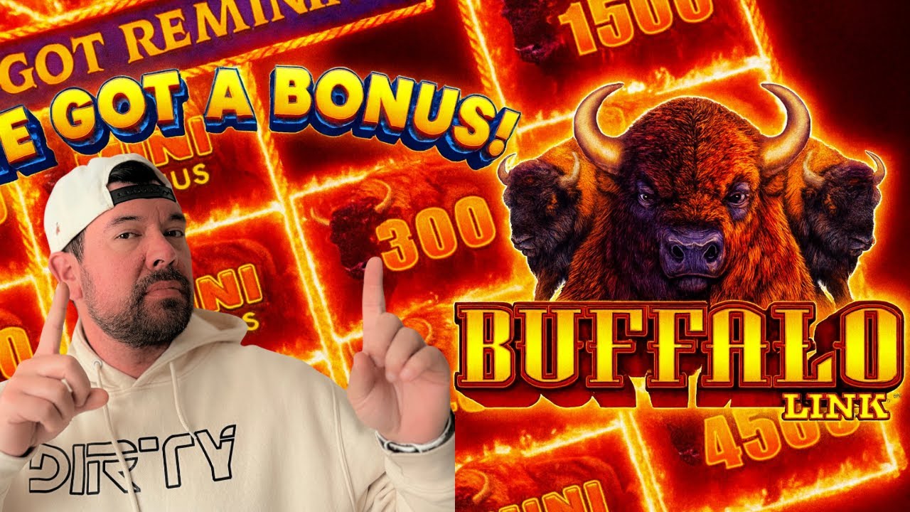 What Happens When You Chase Buffaloes?! Real Slot Play at the Casino 