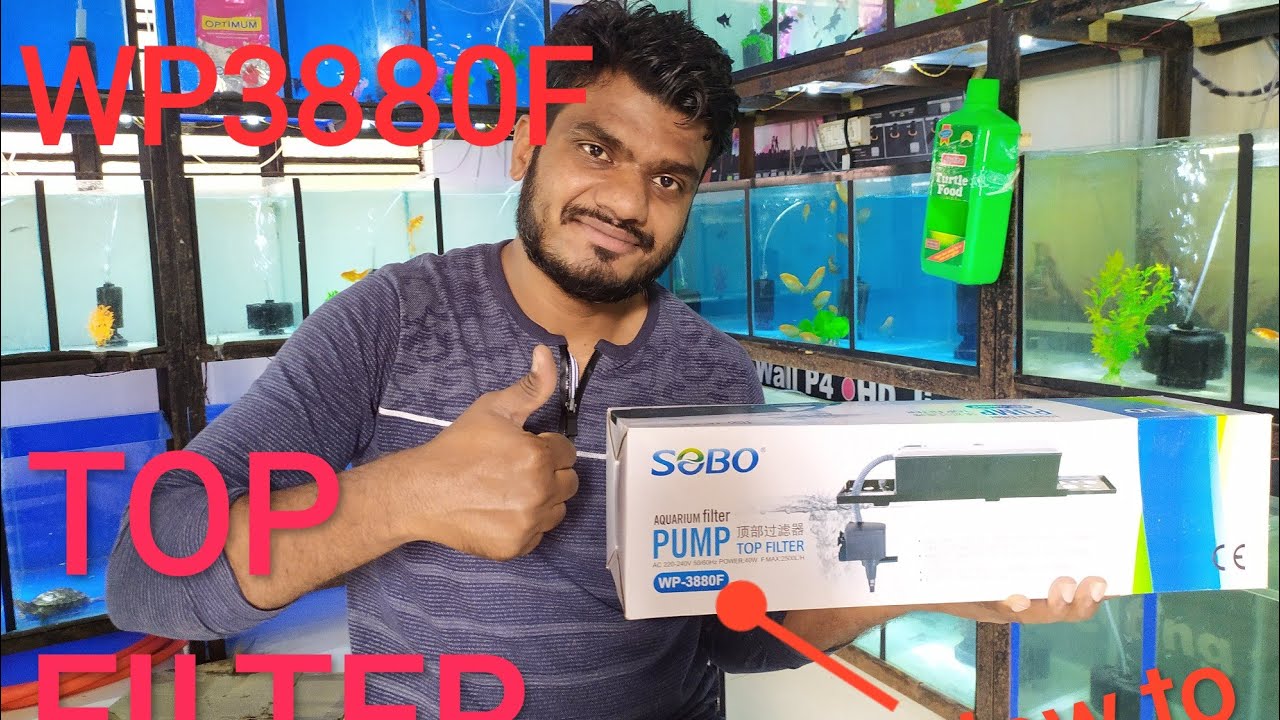 Top Filter SOBO WP3880 installation and care