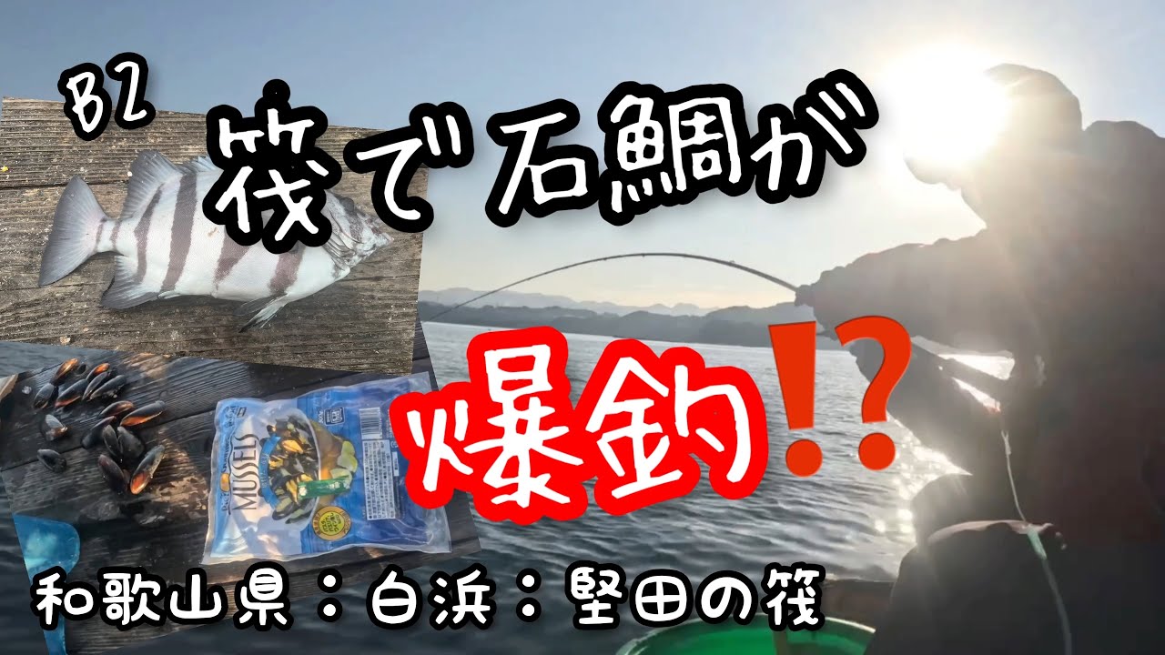 B2【白浜堅田の筏で石鯛狙い💕】in和歌山