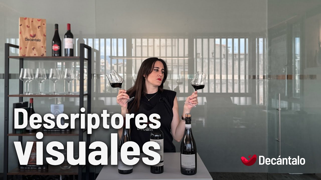 Descriptores visuales | 