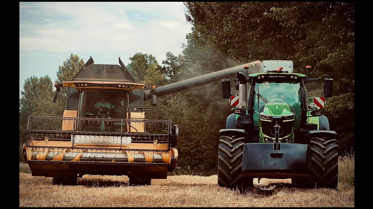 Żniwa 2025! GR Natkaniec! Skup zbóż AGROMAR! Deutz Fahr 8280 TTV Warrior / New Holland CX5.80