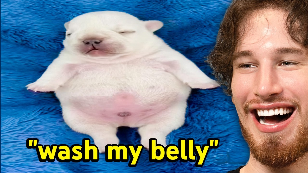 The MOST UNHINGED Instagram Reels of 2025