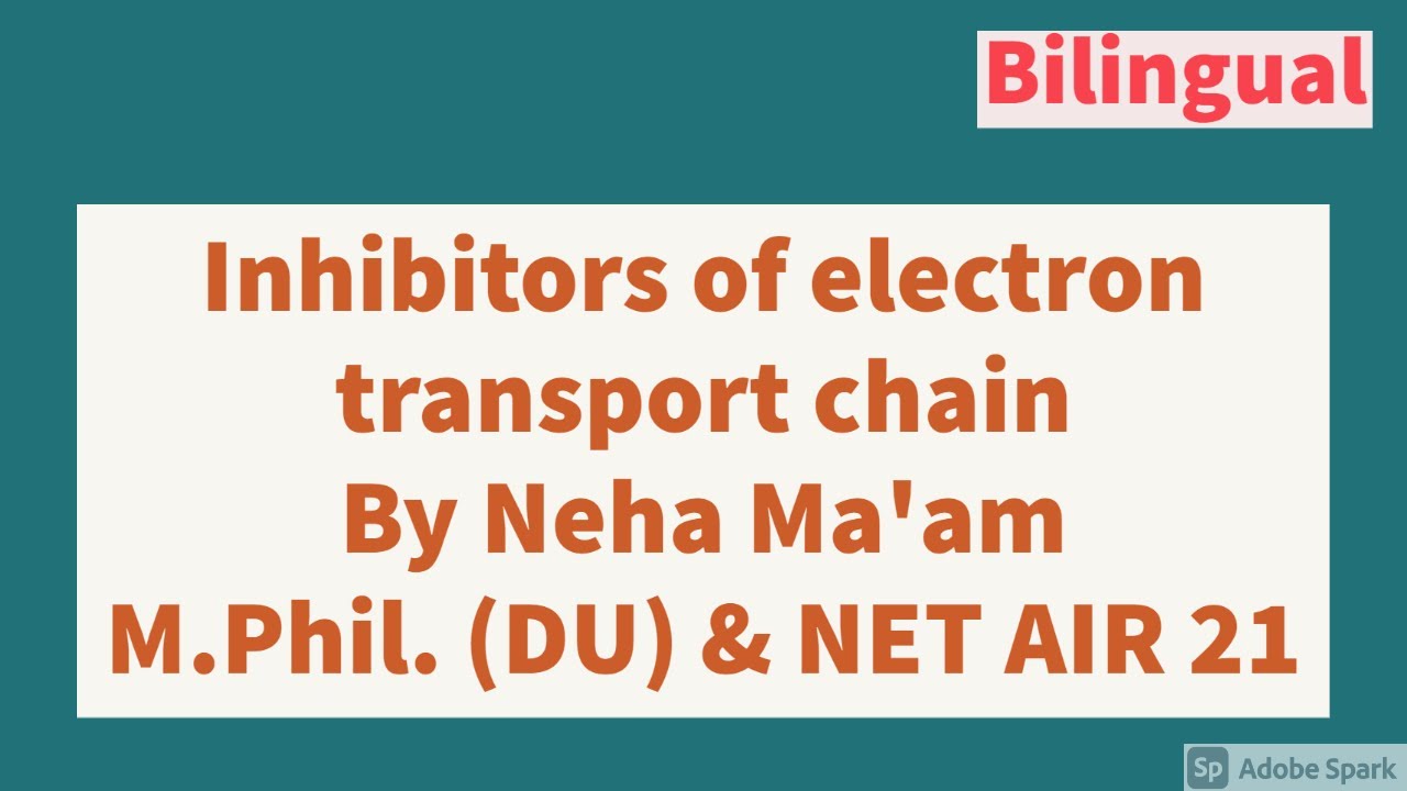 Inhibitors of Electron Transport System or Electron Transport Chain