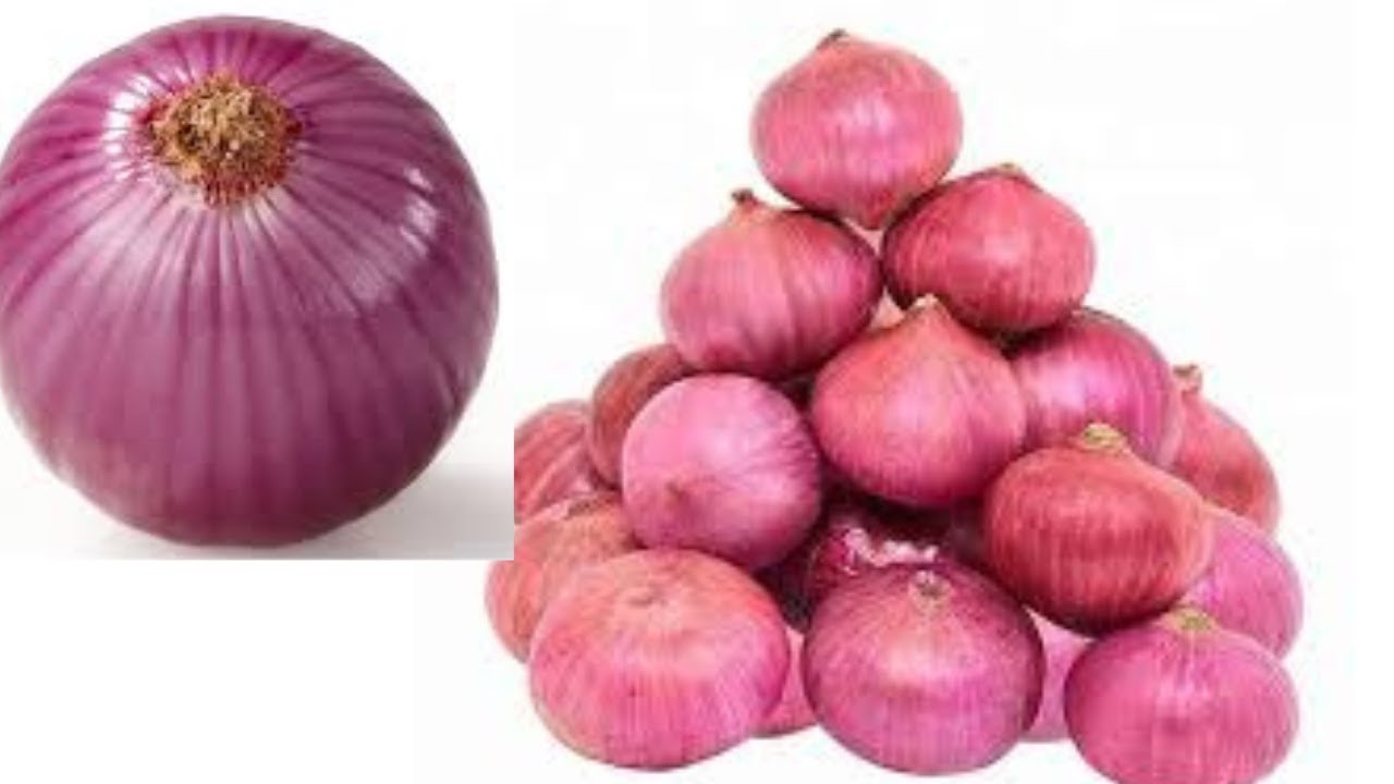 How to Sell Onion After Storage for 3 to 4 Months