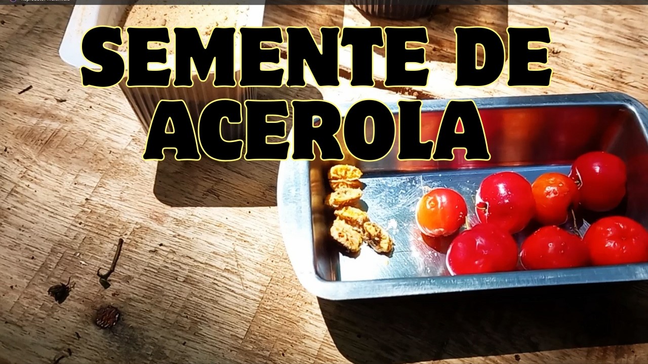 Preparamos mais um espaço para nossos bichos