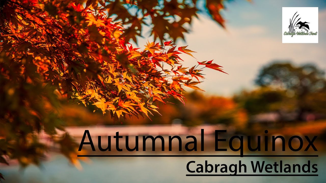 Autumnal Equinox at Cabragh Wetlands