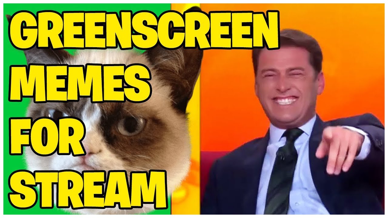 Karl Stefanovic Laughing at Grumpy Cat Green Screen Video