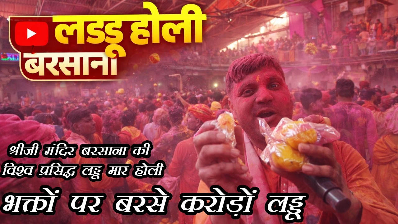 Laddu Holi Barsana राधारानी मंदिर की अद्भुत लड्डू होली 2026 बरसाने में भक्तों पर बरसे लाखों लड्डू