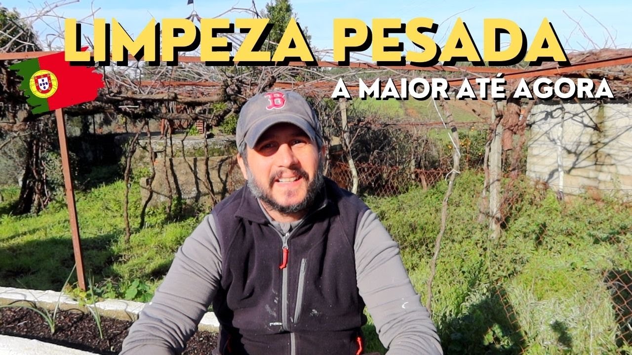 NOSSA CASA PRECISAVA DISSO! - PEGAMOS PESADO NA LIMPEZA DO TERRENO - O MELHOR ANTES E DEPOIS
