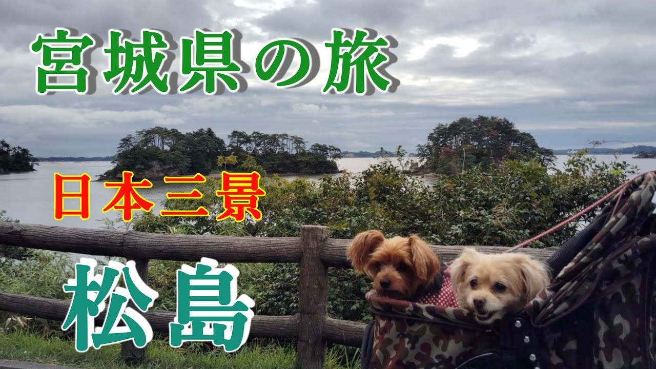 【バンライフ】宮城県の旅【松島】【石ノ森漫画館】