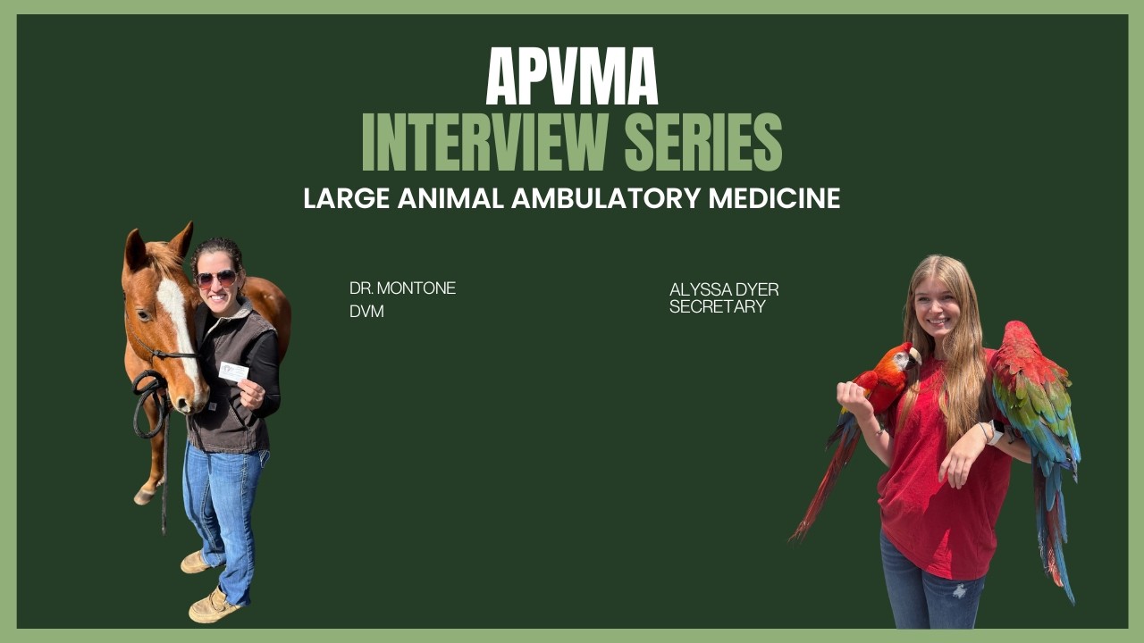 APVMA Interview Series: Large Animal Ambulatory Medicine