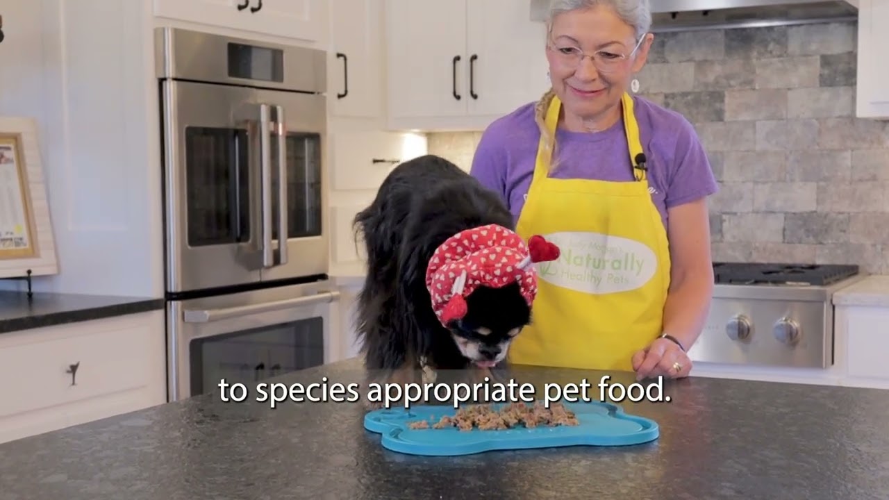 Bringing Together the Best in Natural Pet Care 