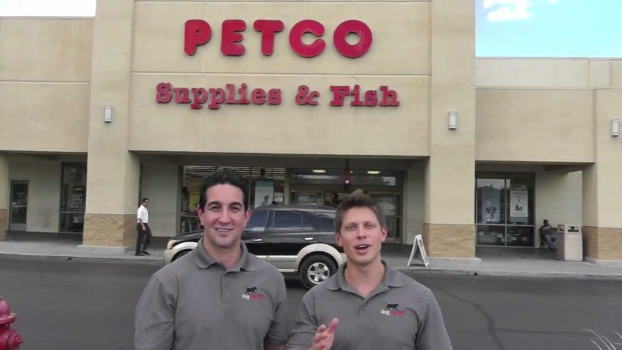dogPACER&trade; in PETCO - Dog Treadmill